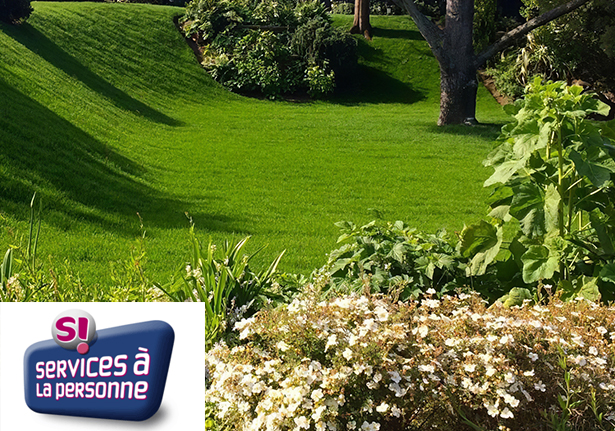 Gerard Elagage Paysage En Mayenne Entretien (1) 130