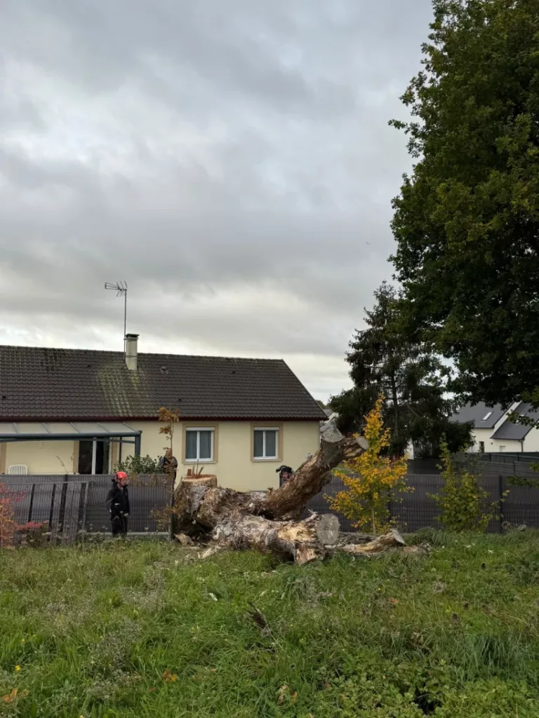 Gerard Elagage Paysage En Mayenne IMG 20251027 WA0008 220