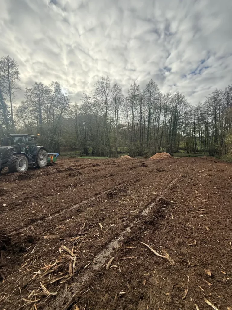 Gerard Elagage Paysage En Mayenne IMG 20251130 WA0002 222