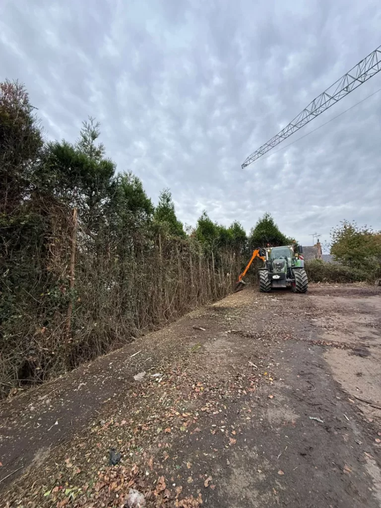 Gerard Elagage Paysage En Mayenne IMG 20251130 WA0006 223