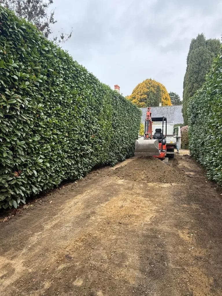 Gerard Elagage Paysage En Mayenne IMG 20251130 WA0007 224