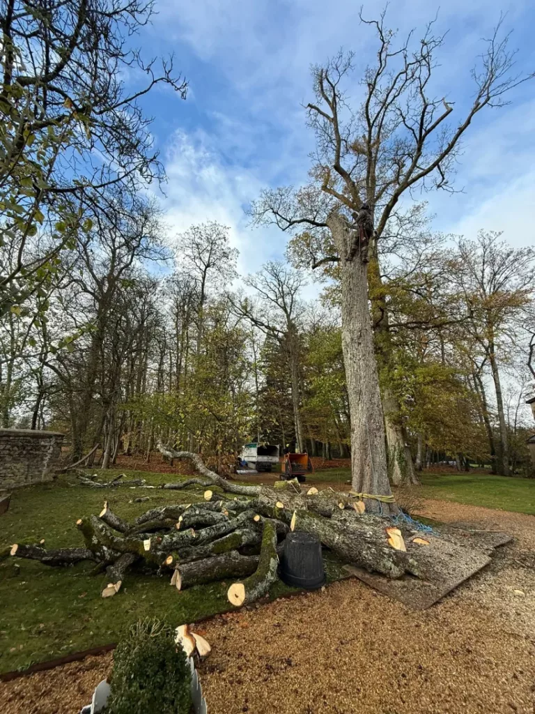 Gerard Elagage Paysage En Mayenne Abattage 219